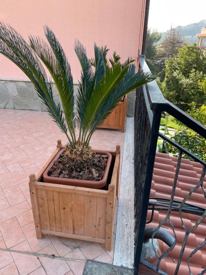 Apartment Aurora & Nicole Ideal Per Biker Con Terazza Vista Mare Parcheggio E Wi-Fi Gratuiti بيترا ليغوري المظهر الخارجي الصورة